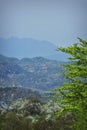 houses seen from the top of the hill. spring time at the village