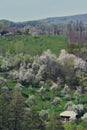 Houses seen from the top of the hill. spring time at the village Royalty Free Stock Photo