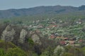 Houses seen from the top of the hill. spring time at the village