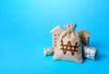 Houses and south korean won money bag. Asset, financial resource management. Real estate. Declaration, taxes payment. Bookkeeping Royalty Free Stock Photo