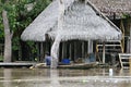 Houses on Stilts