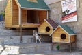 Houses for stray animals