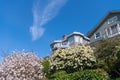 Houses in suburban area on blue sky. Residential neighborhood with spring trees Royalty Free Stock Photo