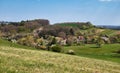 Houses surrounded by rolling hills in Rhineland Palatinate