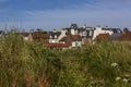 Houses through tall grass