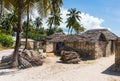 Houses with thatch roofs and bundles of firewood on african beach