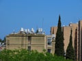 Houses and trees against a blue sky in spring in Haifa in Israel. Royalty Free Stock Photo