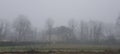 Houses and trees in foggy weather