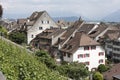 Houses and Vines, Rapperswil Royalty Free Stock Photo