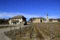 Houses and wineland in the rural area near Grenoble