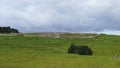 Housesteads Roman Fort in Northumberland, Northern England