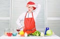 Housewife cooking and drink wine. Enjoy easy ideas for dinner. Woman enjoy cooking food. Housekeeping and culinary Royalty Free Stock Photo