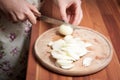 Housewife cutting onions Royalty Free Stock Photo