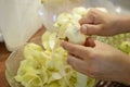 Housewife peeling apples and making strudel, burek
