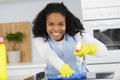 Housewife using spray detergent Royalty Free Stock Photo