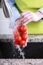 Housewife wash tomatoes in water