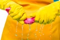 Housewives hands squeezed pink cloth microfiber Royalty Free Stock Photo