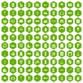 100 housework icons hexagon green