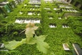 Housing block completely covered by abundant vegetation in Bucharest