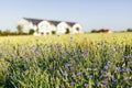 Housing developer investment. Semi-detached houses Royalty Free Stock Photo