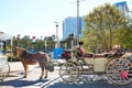 Houston Discovery green park horse carriages