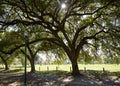 Houston Hermann park Marvin Taylor trail