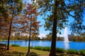 Houston Hermann park Mcgovern lake Royalty Free Stock Photo