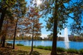 Houston Hermann park Mcgovern lake Royalty Free Stock Photo