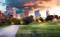 Houston Texas modern skyline at sunset twilight from park lawn Royalty Free Stock Photo