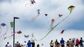 Houston, Texas, USA March, 24th, 2019 Kite Festival