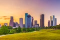 Houston, Texas, USA Skyline Royalty Free Stock Photo