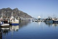 Hout Bay harbour Royalty Free Stock Photo