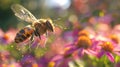 Hoverfly in flight with vibrant flower macro perspective, realistic textures, photorealistic image