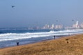 Hovering Seagulls Beach and Sea against Durban City Skyline Royalty Free Stock Photo