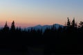 Hoverla with pink morning sky and forest silhouettes. Trees silhouettes in mountains at dawn with copy space. Vasness concept.