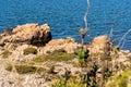 Hovs Hallar Nature Reserve with rocky landscape ends abruptly by the sea and is a very popular tourist attraction. Royalty Free Stock Photo