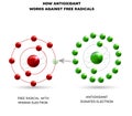 How antioxidant works