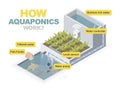 How aquaponics system work isometric