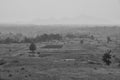 Rural landscape of Maharashtra, India