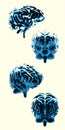 How the brain works. Front, side and back view of the brain. Synapses and neurons. Connections. Take care of your brain