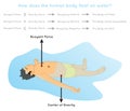 How does Human Body Float on Water Infographic Diagram