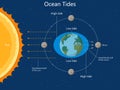 How the Moon and Sun Cause Ocean Tides vector Royalty Free Stock Photo