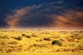 This is how The Great Indian desert of Thar