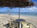 How about having a drink with a privileged view to the beach at Morere, Bahia State, Brazil