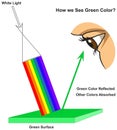 How human eye see green surface infographic diagram physics mechanics dynamics science Royalty Free Stock Photo