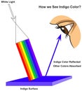 How human eye see indigo surface infographic diagram physics mechanics dynamics science