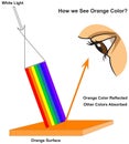 How human eye see orange surface infographic diagram physics mechanics dynamics science