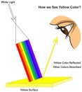 How human eye see yellow surface infographic diagram physics mechanics dynamics science Royalty Free Stock Photo