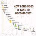 How Long Does It Take To Decompose