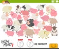 How many sheep and pigs educational task for children